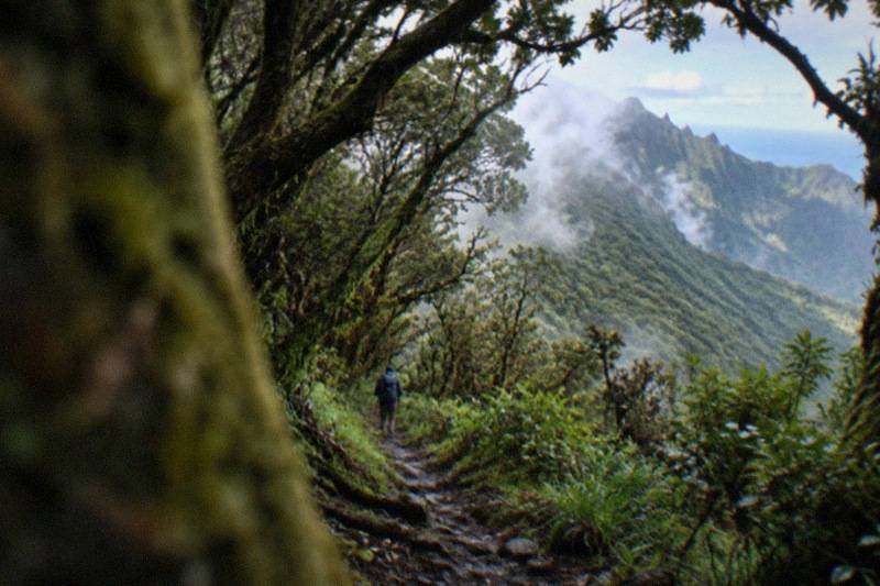 Tenerife: Guided Hike in Anaga Rural Park
