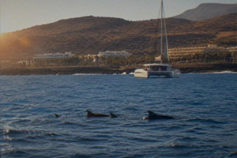 Catamaran, Drinks, 2 or 3 Hours, Costa Adeje