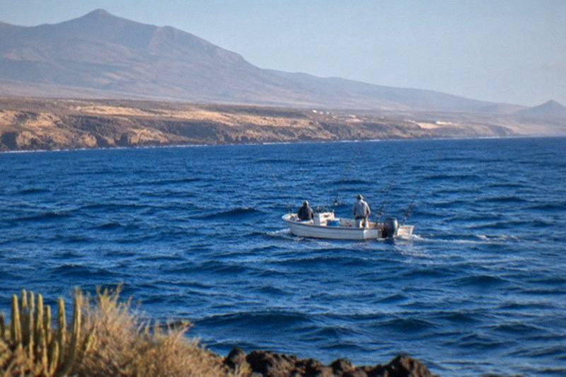 Fishing trip, Tenerife Sea Passion