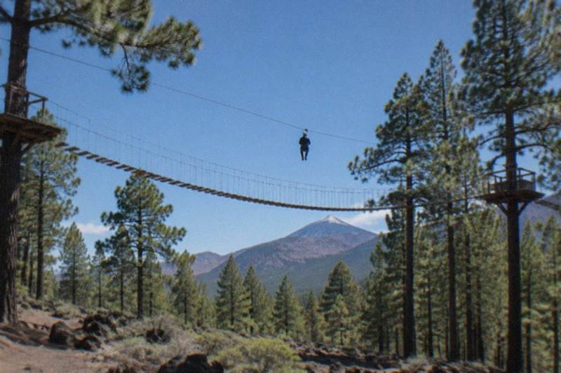 Treetop Ropes and Zipline Ticket, Las Lagunetas