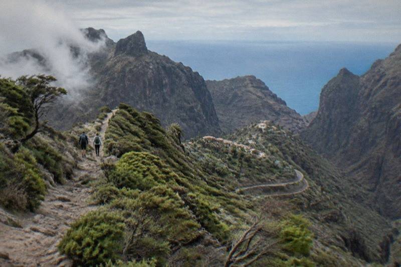 Laurel Forest Hike, Picnic Included, Santiago del Teide