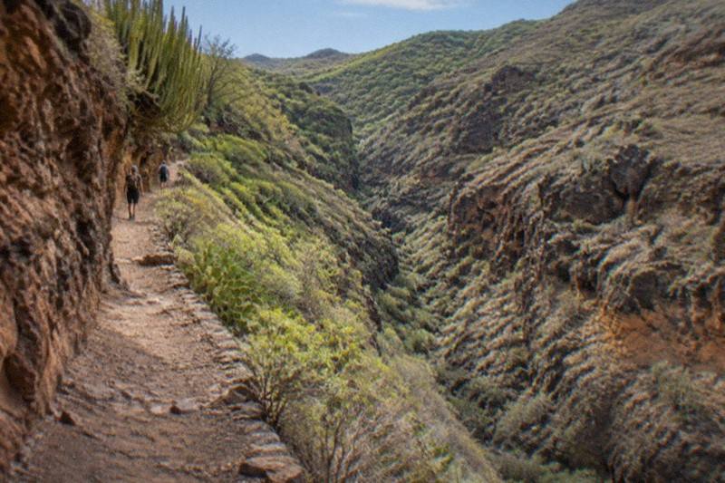 Guided Day Hike, South Pickup, South Tenerife