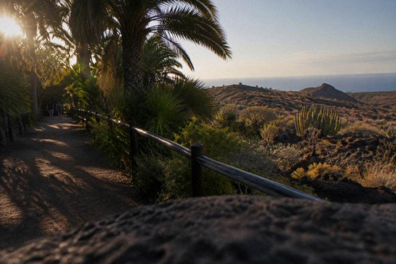 Arona: Entry Ticket to Tenerife's Jungle Park Zoo