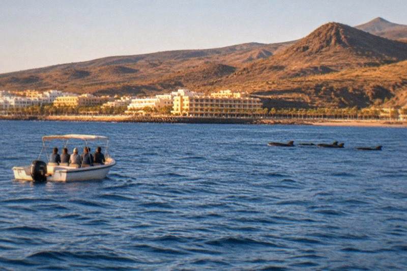 No-Chase Trip, Los Cristianos, Los Cristianos