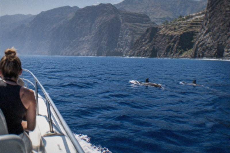Los Gigantes Cliffs, Swim Stop, Los Gigantes
