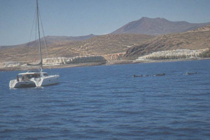 No-Chase Catamaran, Underwater Windows, Los Cristianos