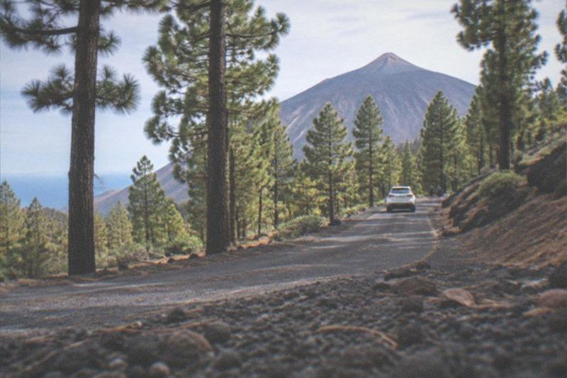 Small Group Teide National Park Volcanic and Forest Wonders