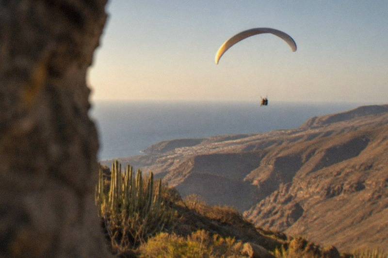 Tenerife: Paragliding with National Champion Paraglider