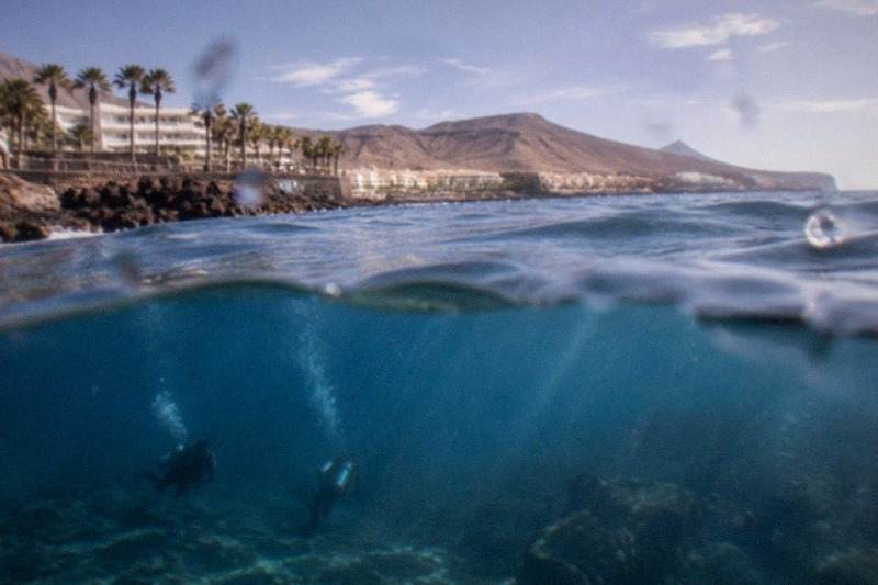 Tenerife: First-Time Scuba Diving in a Natural Turtle Habitat