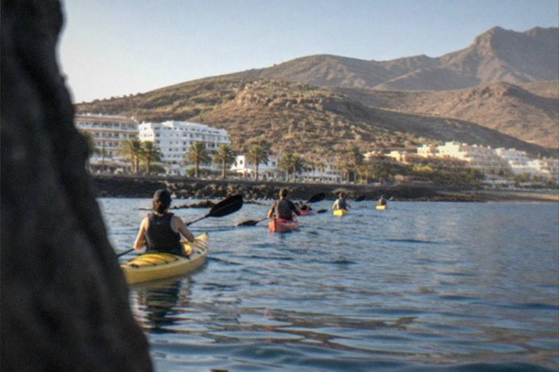 Tenerife: Turtle and Dolphin Kayak Tour with Snorkel and Wetsuit