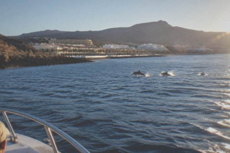 Los Cristianos Cruise, Swim Stop, Los Cristianos