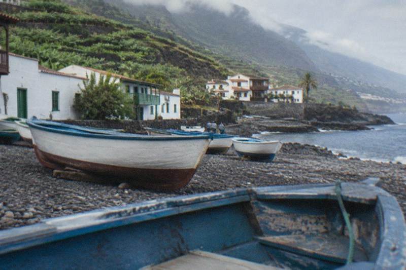 Visit to Puerto de la Cruz - Free Tour