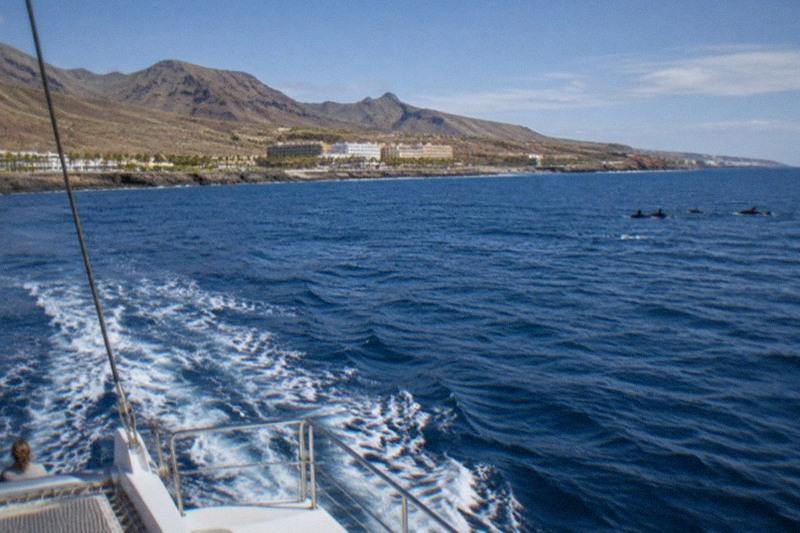 Catamaran, Buffet and Transfer, Costa Adeje