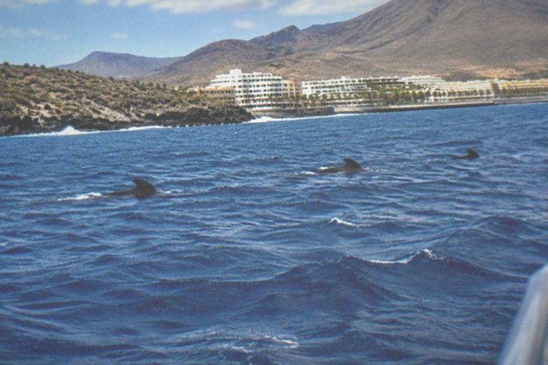 Small Boat, Ten Guests Max, Costa Adeje