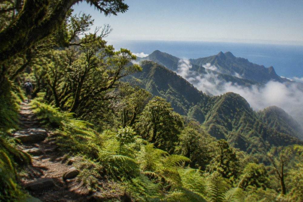 A view over green Anaga hills towards the sea under a clear sky