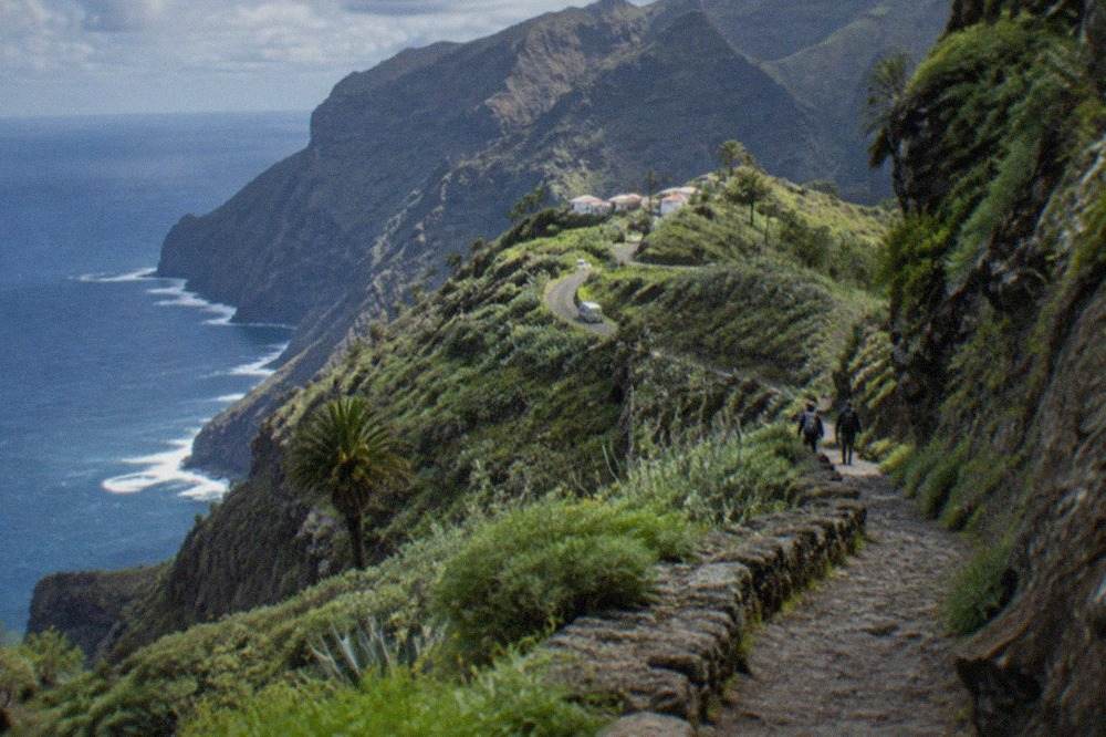 A narrow rocky gorge path winding between green cliffs on the Tenerife coast