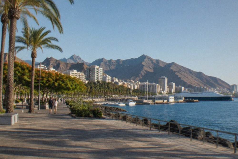 A calm palm-lined promenade in a Tenerife resort town under a clear sky