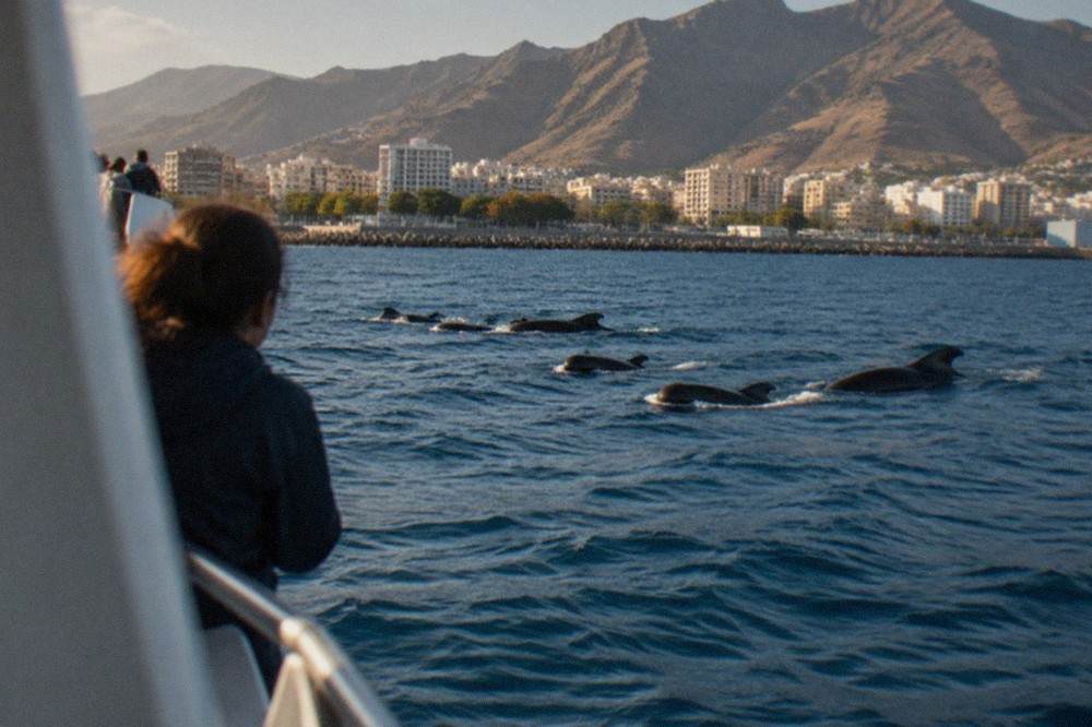 A whale-watching catamaran holding a legal distance from pilot whales off the Tenerife coast
