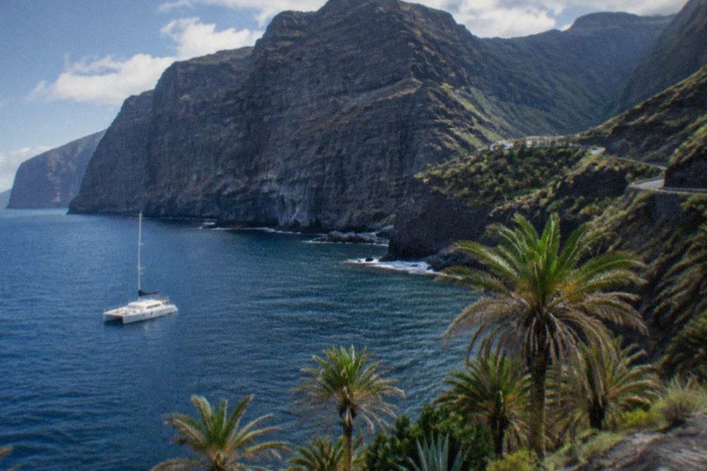 A catamaran on calm water near the Los Gigantes cliffs with palm trees on the shore