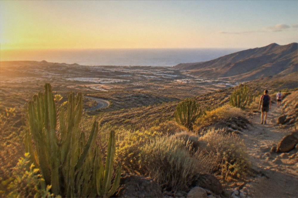 Sunlit hillsides above Adeje with the blue Atlantic horizon in the distance