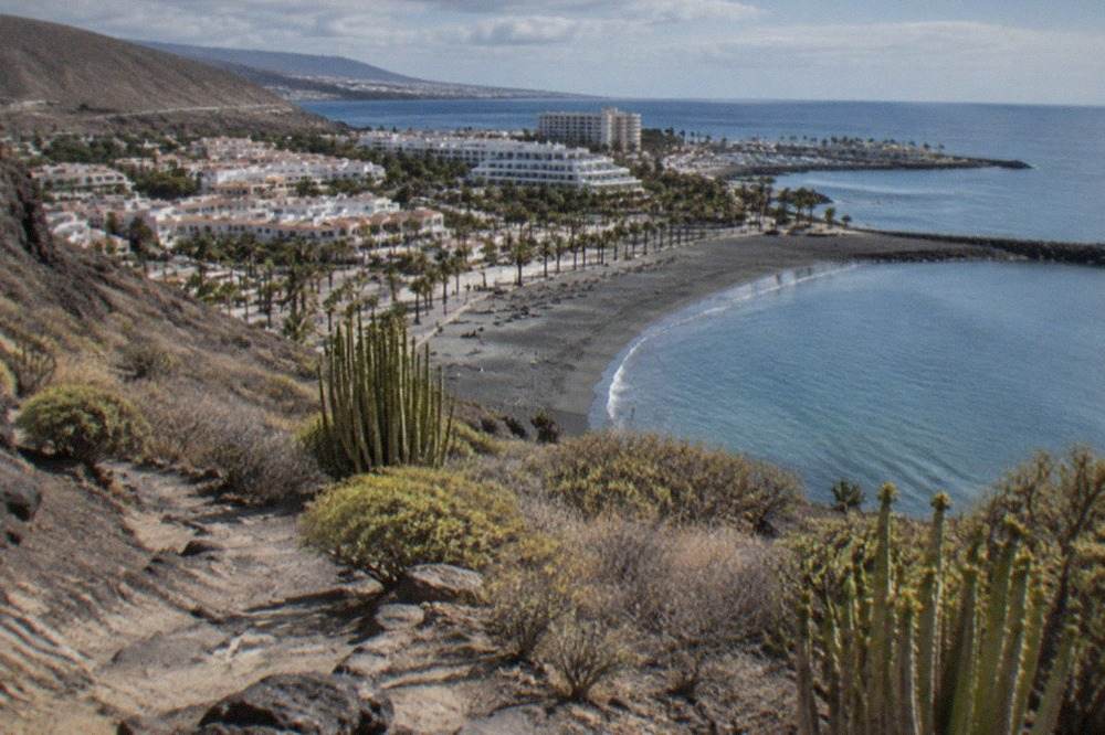 A coastal town in south Tenerife with a sandy beach, palm trees and calm blue water