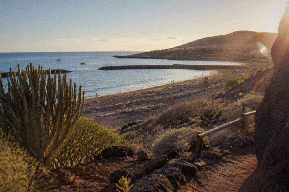 A golden sandy beach with breakwaters and sunbeds in south Tenerife