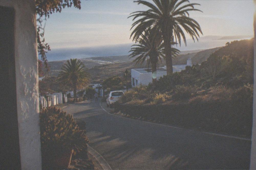 A quiet village road with palm trees and low white buildings in the Tenerife hills