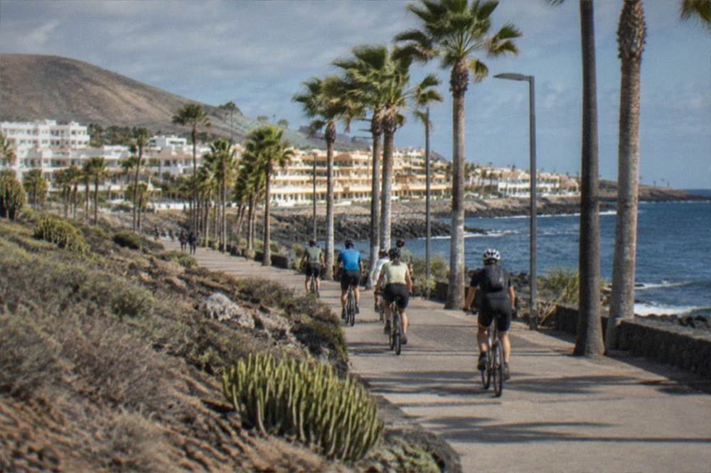 A cycling group riding along a palm-lined seafront promenade in a city