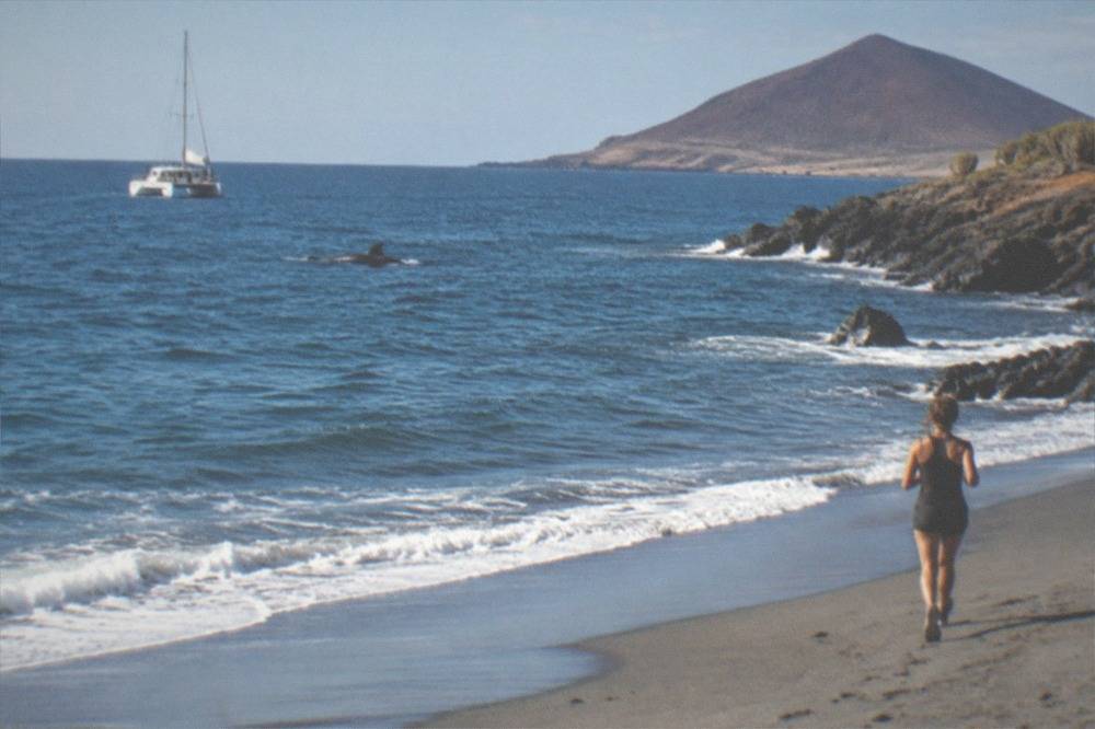 A small catamaran moving slowly offshore while a pilot whale surfaces nearby