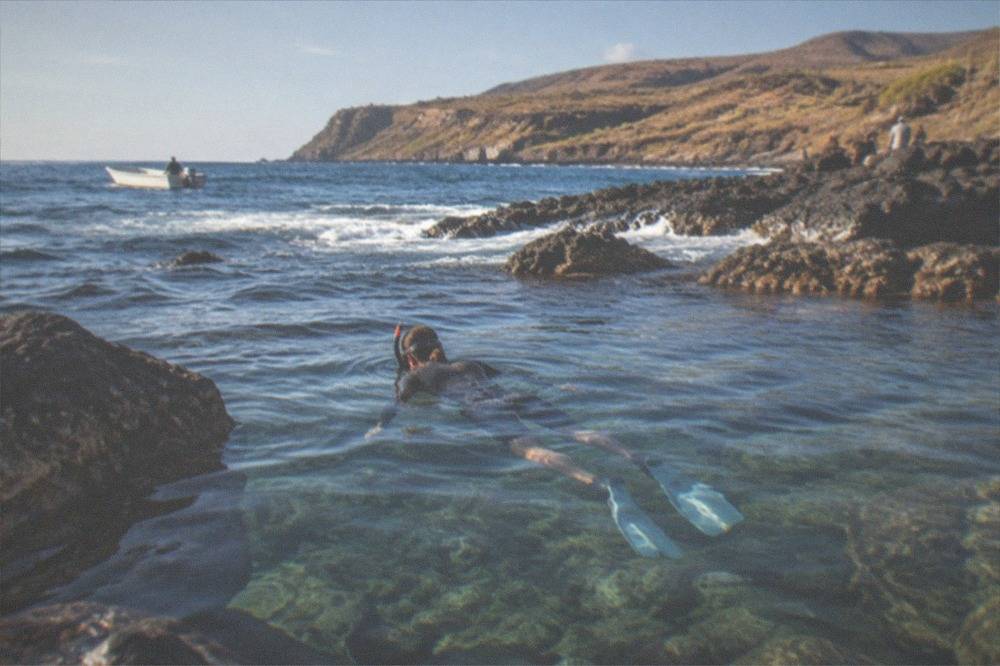 A diver in shallow clear water above rocks with small fish nearby