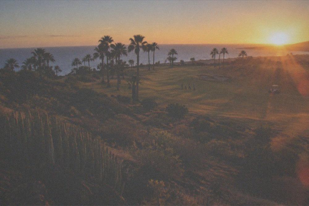 Sunrise over a golf fairway with palm trees in silhouette