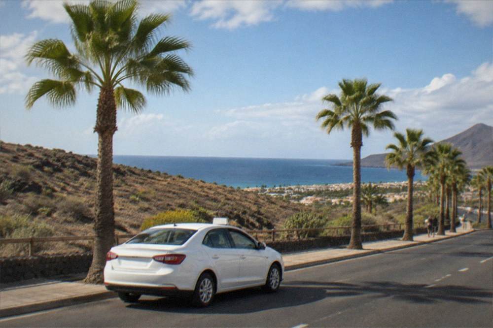 White taxi and palm trees on a sunny street in south Tenerife