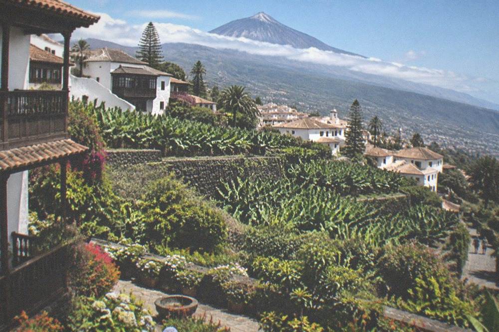 Flower garden with Mount Teide visible in the distance