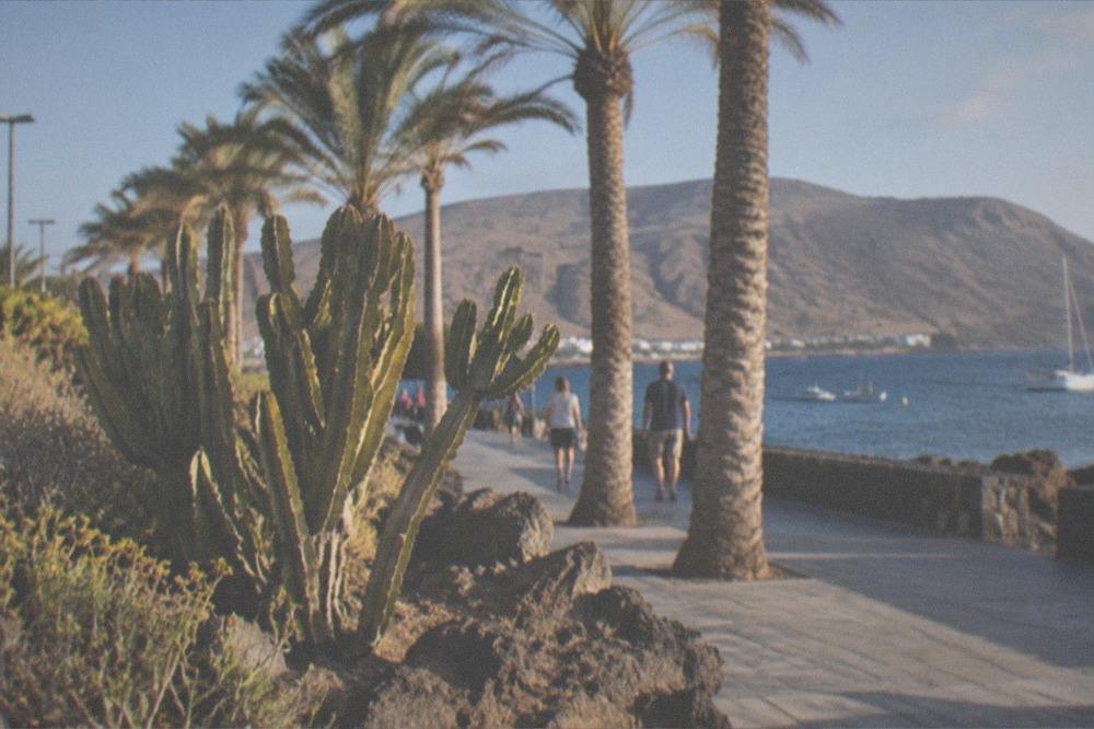 A sunny seafront promenade with palm trees and calm blue water on a warm day