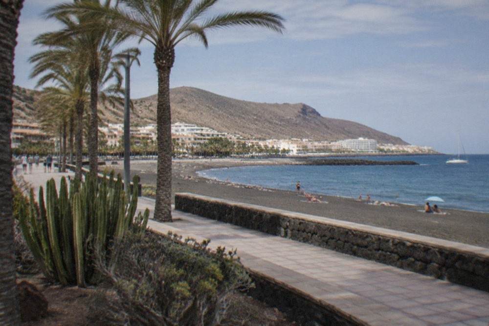 The promenade at Los Cristianos with palm trees and the beach in the background