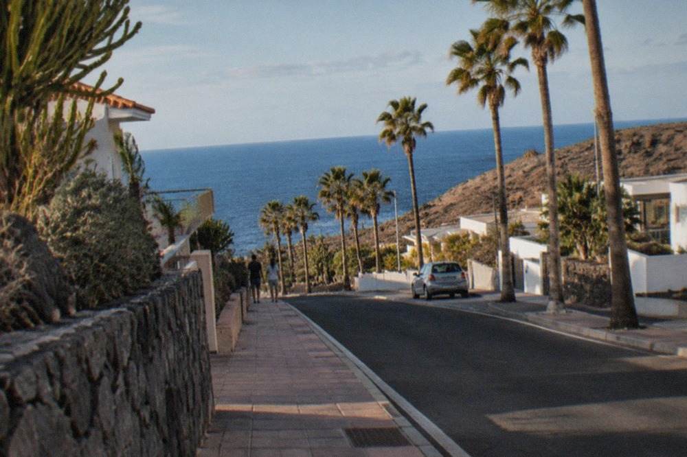 Palm-lined promenade in a quiet south Tenerife coastal district