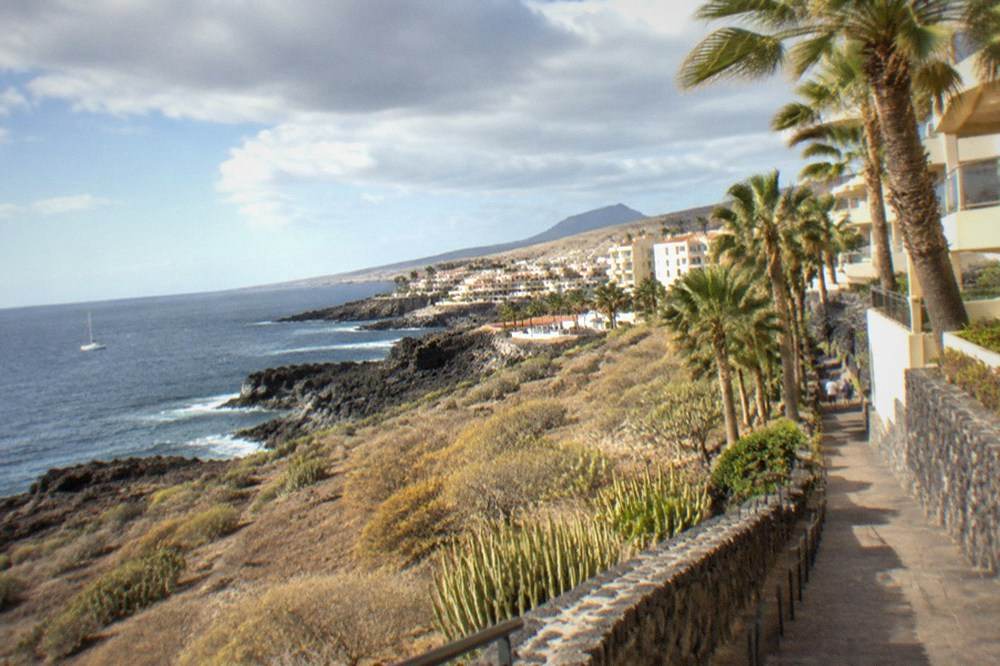 Sunlit apartment buildings and palm trees near the south Tenerife coast