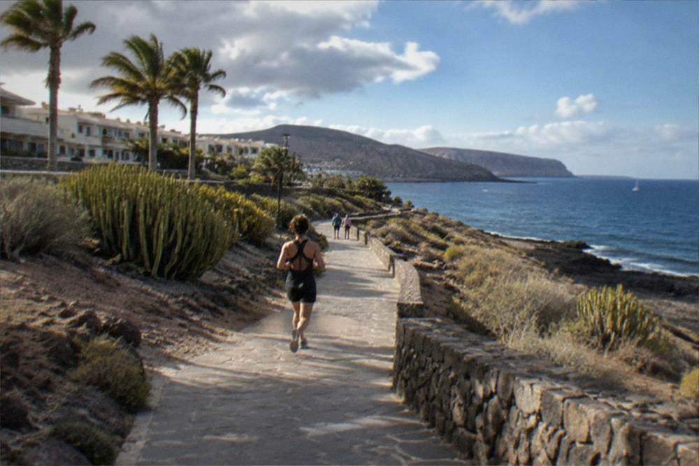 Low-rise accommodation with palm trees on the south Tenerife coast