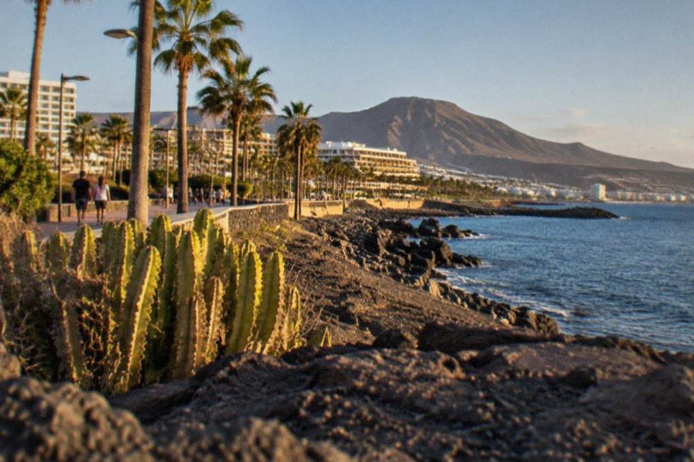 A palm-lined promenade in a Tenerife resort with hotels behind it in evening light