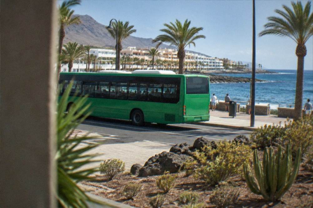 A green island bus at a stop on a sunny coastal road with palm trees