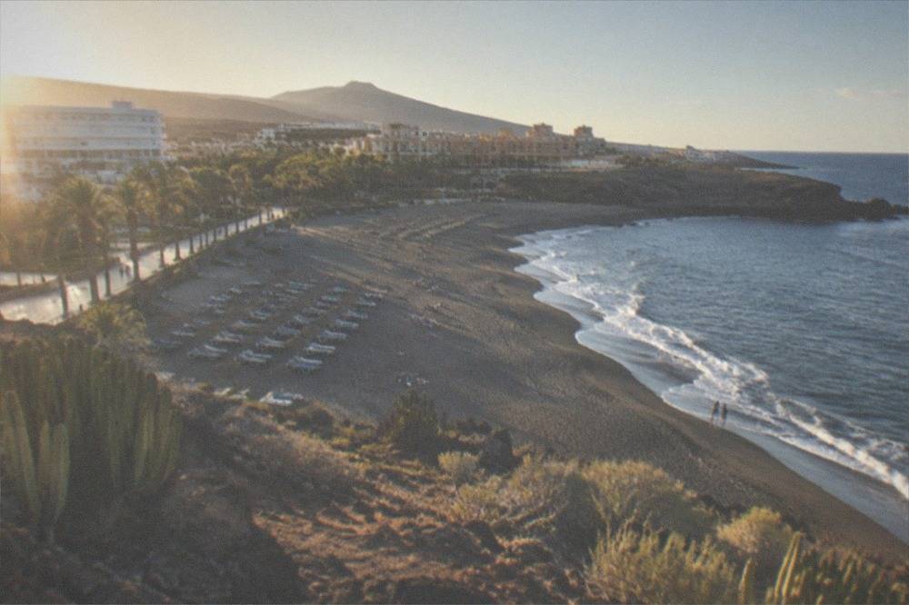 A grey sandy beach with sun loungers and a row of palm trees along the promenade