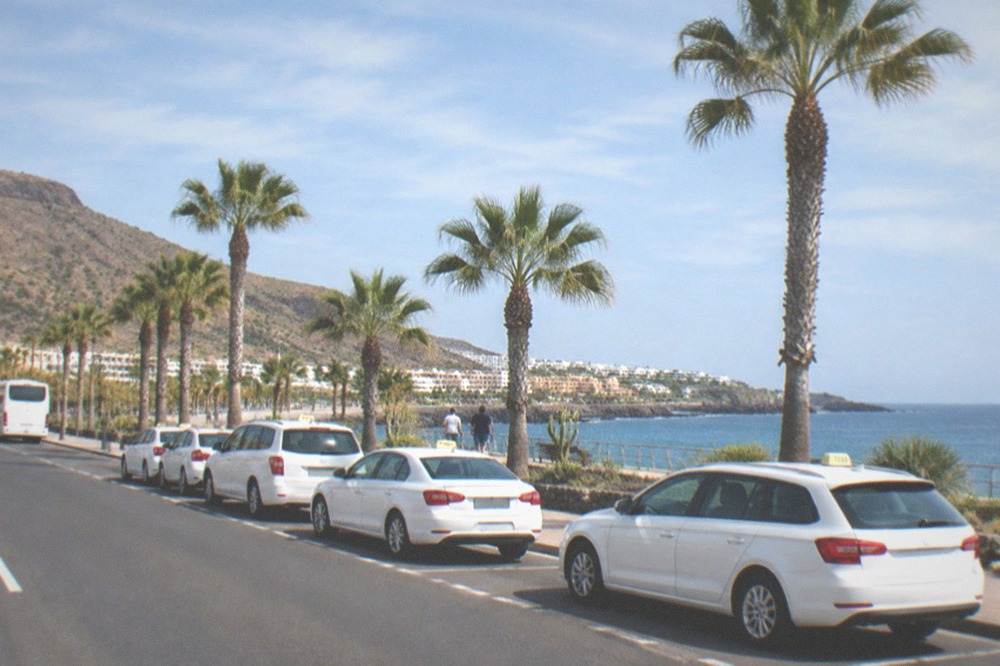 A white taxi rank beside a palm-lined seafront road in the afternoon