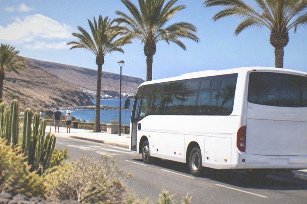 A white island bus at a coastal stop with palm trees and blue sky