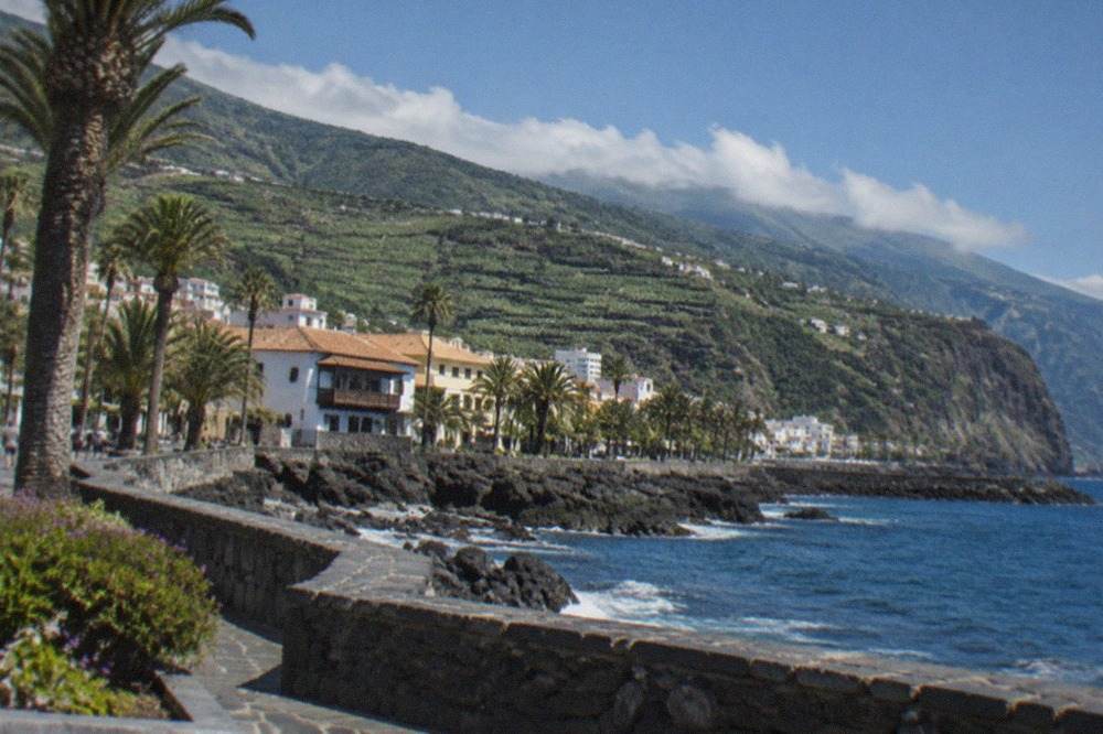 The seafront of Puerto de la Cruz with palm trees and the Atlantic beyond