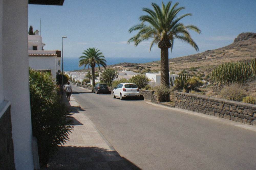 A quiet residential street in a southern Tenerife town with palm trees and low white buildings under a blue sky