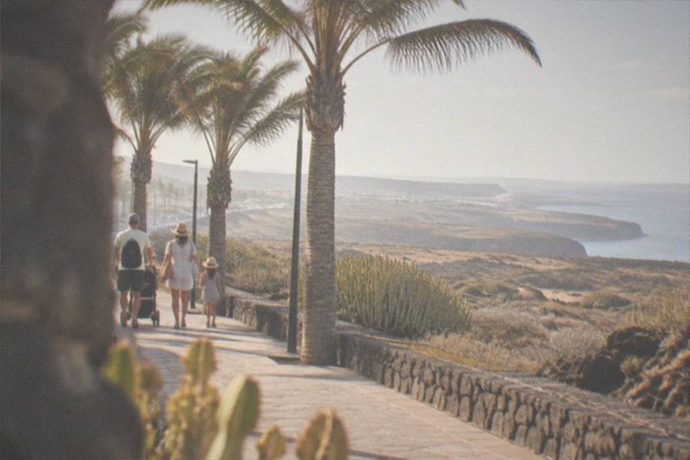 A family walking along a seaside promenade with palm trees and calm water