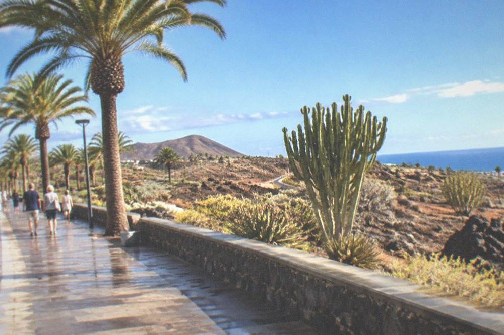 A sunny promenade by the sea with palm trees and a clear horizon