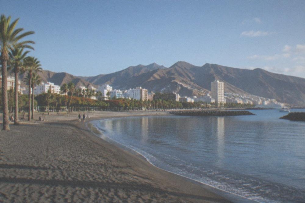 Golden sandy beach with palm trees and stone breakwaters in calm water