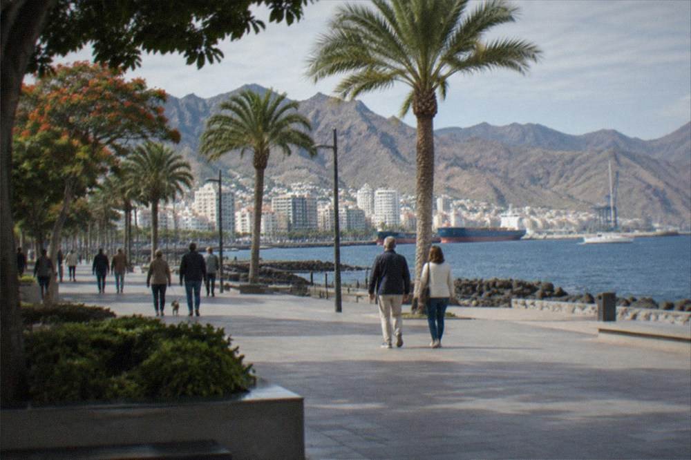Sunny seafront promenade with palm trees and people strolling in winter