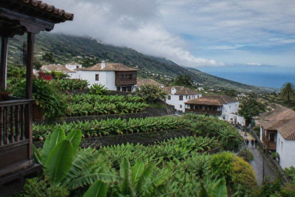 Vineyards on green slopes above the north coast of Tenerife with the sea in the distance